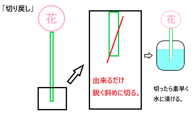 切り戻しの解説図