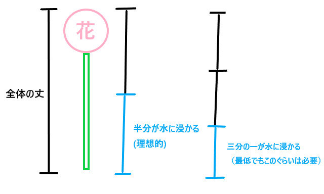 水揚げに必要な水の深さの説明図