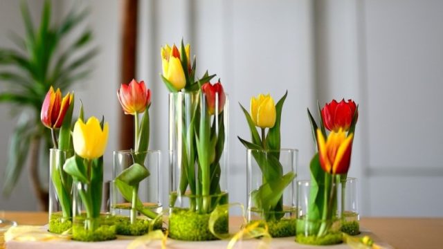 切り花の水揚げ方法 華道家が解説 Flowers Ikebana